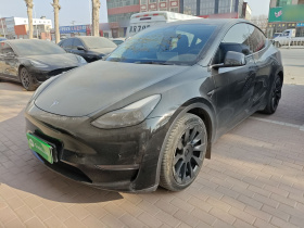 特斯拉 Model Y 2021款 标准续航后驱版