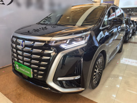 腾势D9 2024款 DM-i 1050 尊享型