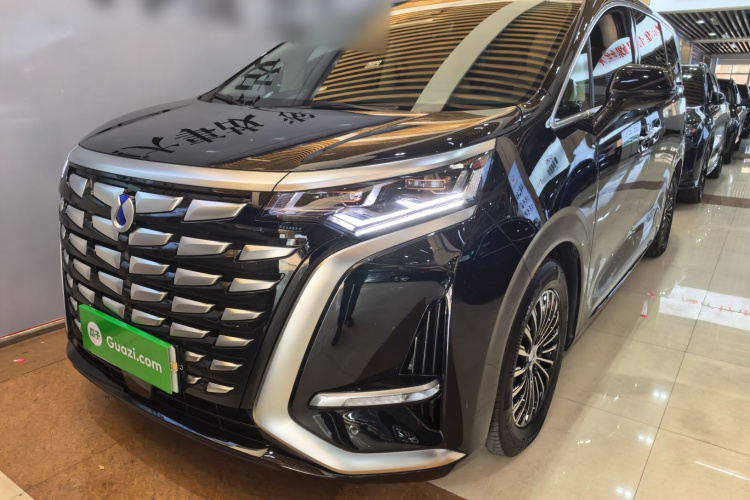 腾势D9 2024款 DM-i 1050 尊享型车身外观1