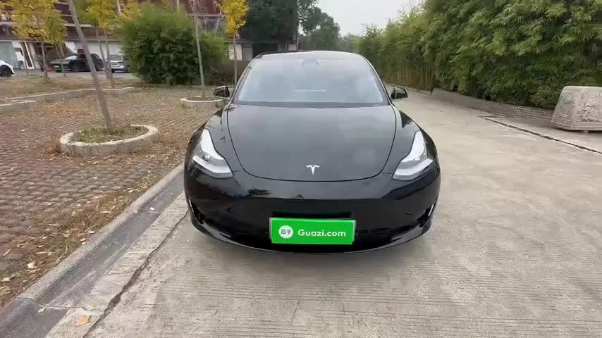 特斯拉 Model 3 2020款 标准续航后驱升级版实拍1