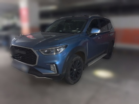 上汽大通MAXUS D90 2017款 2.0T 自动四驱 天狼星