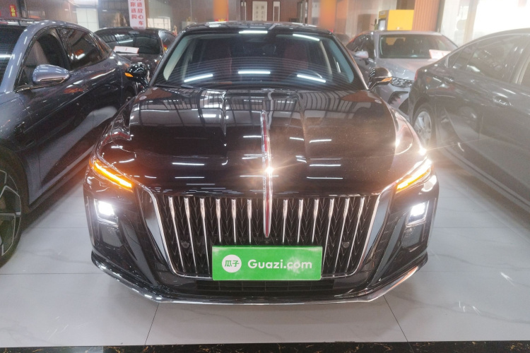 红旗H5 2024款 2.0T 自动智联旗畅版车身外观6001