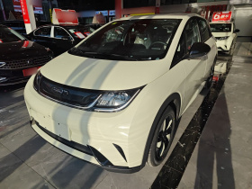 比亚迪 海豚 2025款 420km 自由版