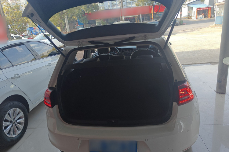 大众 高尔夫 2017款 230TSI 自动豪华百万辆纪念版局部细节23