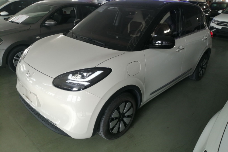 五菱汽车 五菱缤果 2024款 333km 悦享款车身外观6003