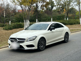 奔驰CLS 2015款 CLS 260