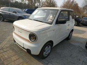 吉利银河 2024款 熊猫mini 200km 耐力熊