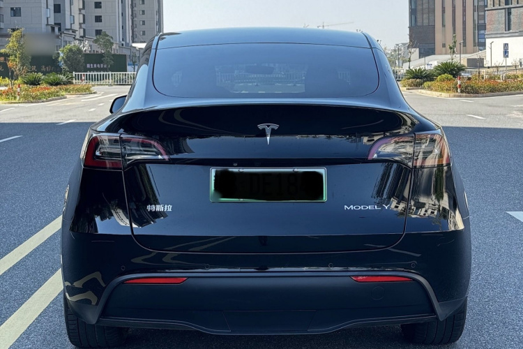 特斯拉 Model Y 2021款 标准续航后驱版车身外观6004