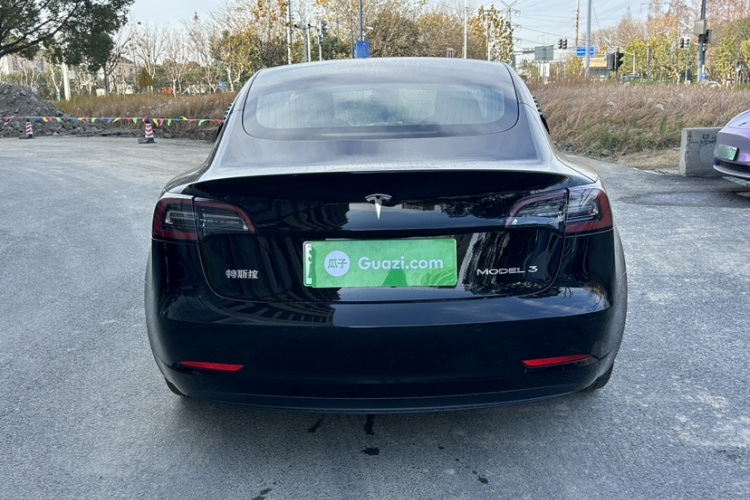 特斯拉 Model 3 2020款 标准续航后驱升级版车身外观6006