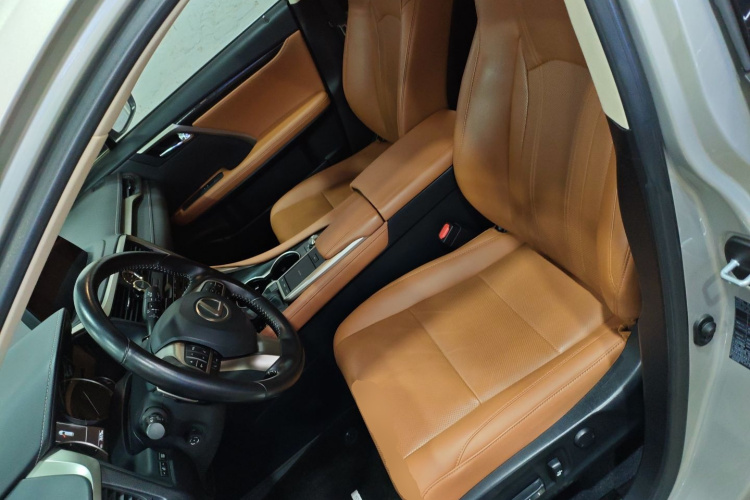 雷克萨斯RX 2020款 300 两驱舒适版 国VI局部细节19