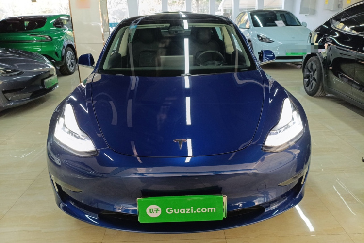 特斯拉 Model 3(进口) 2019款 长续航全轮驱动版车身外观6001