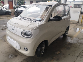 五菱汽车 宏光MINIEV 2024款 第三代 215km 青春版