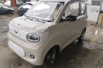 五菱汽车 宏光MINIEV 2024款 第三代 215km 青春版