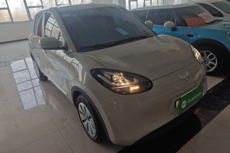 五菱汽车 五菱缤果 2024款 203km 轻享款车身外观3