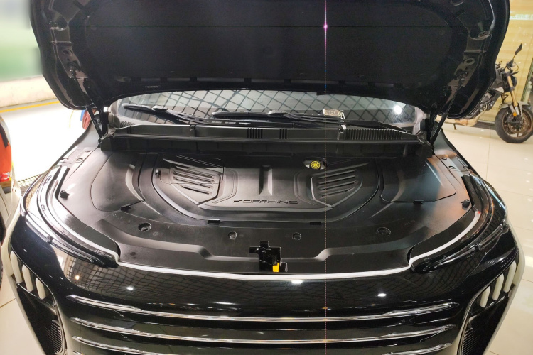 东风风行 星海V9 2024款 1.5TD 200km 青云梯系列 尊贵型机舱底盘24