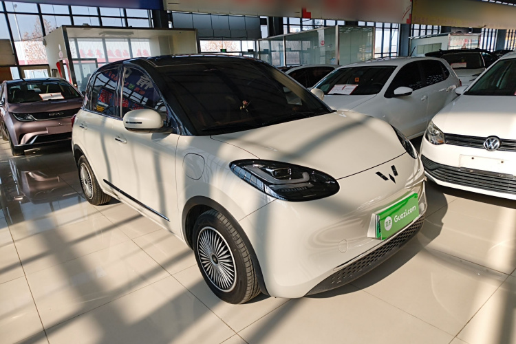 五菱汽车 五菱缤果 2024款 333km 悦享款车身外观3