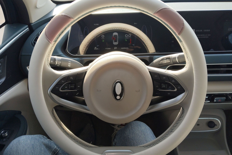 欧拉好猫 2023款 401km标准续航 豪华型 磷酸铁锂中控内饰13