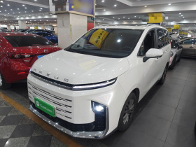 上汽大通MAXUS 大通G50插电混动 2025款 领航版