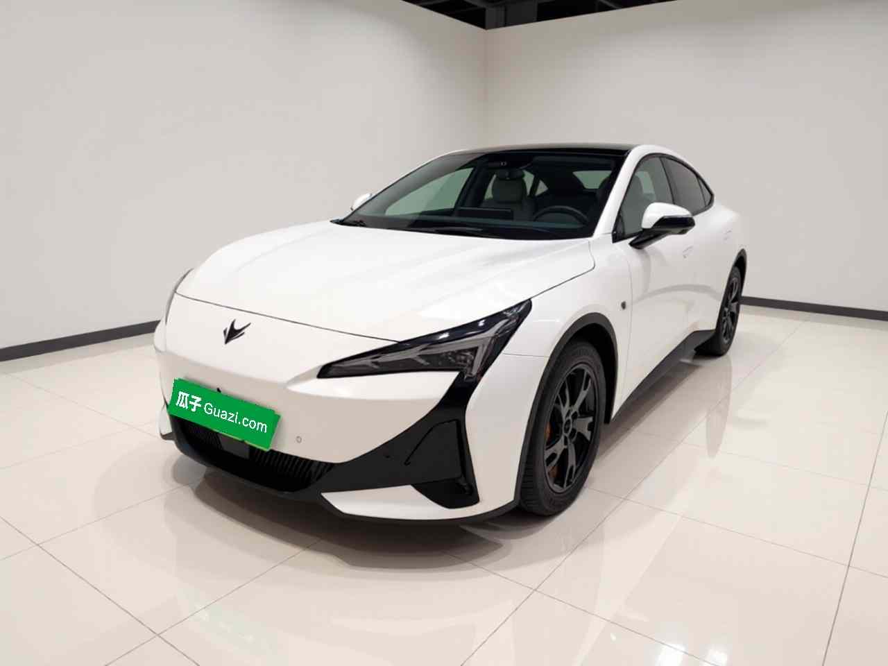 ARCFOX极狐 极狐 阿尔法S5 2025款 560PRO 185kW(2)