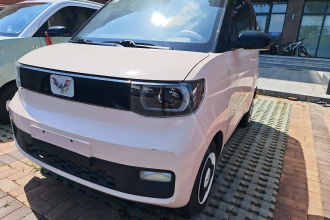 五菱汽车 宏光MINIEV 2021款 马卡龙时尚款 磷酸铁锂