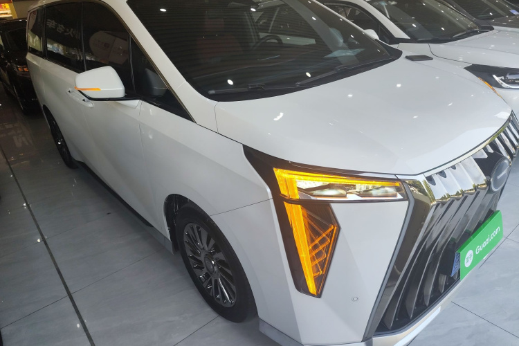 广汽传祺 传祺M8 2023款 宗师系列 双擎 御尊版车身外观3