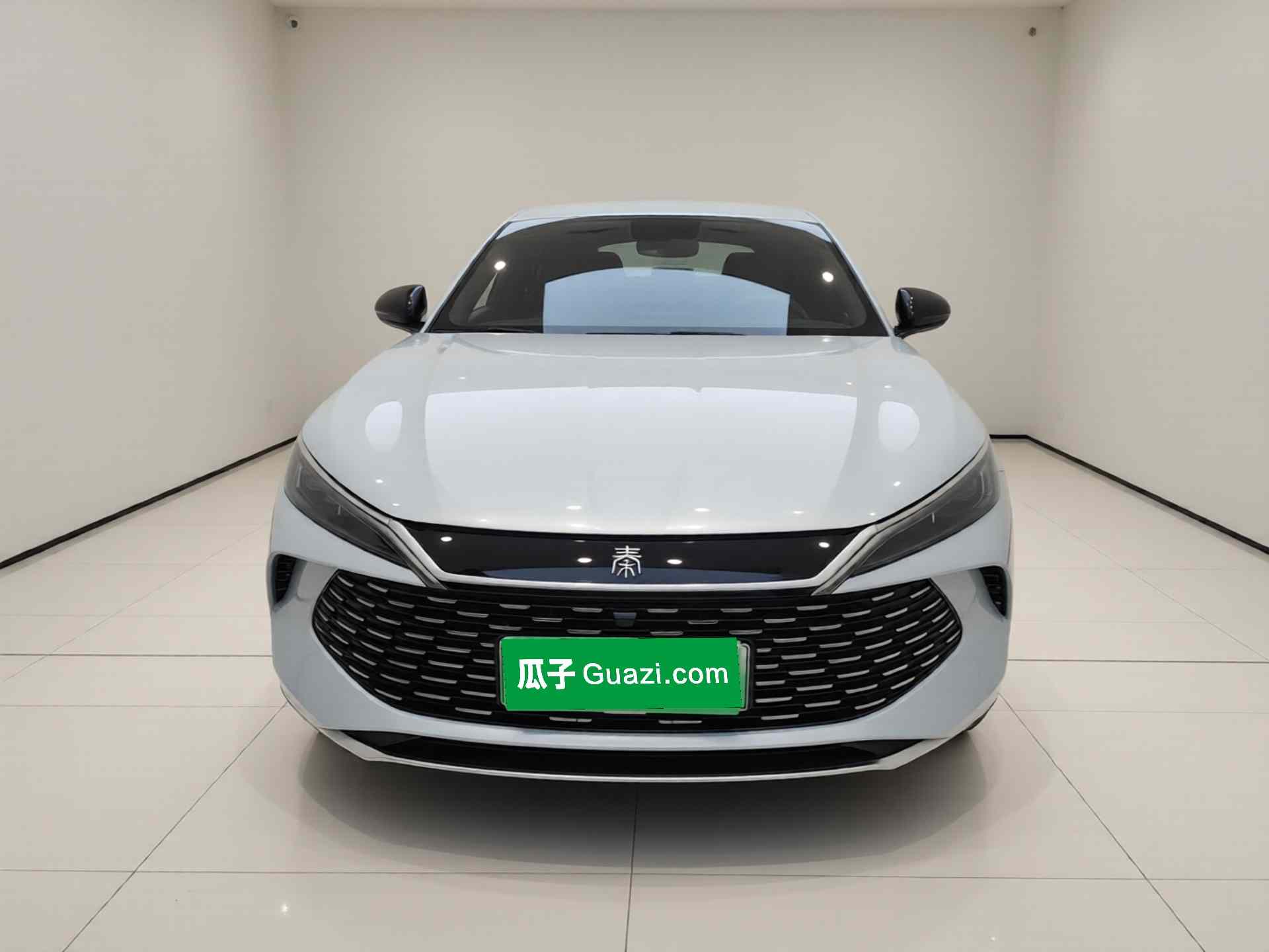 比亚迪 秦L 2024款 DM-i 80KM领先型(1)