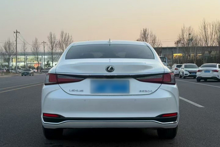 雷克萨斯ES 2023款 200 卓越版车身外观6004