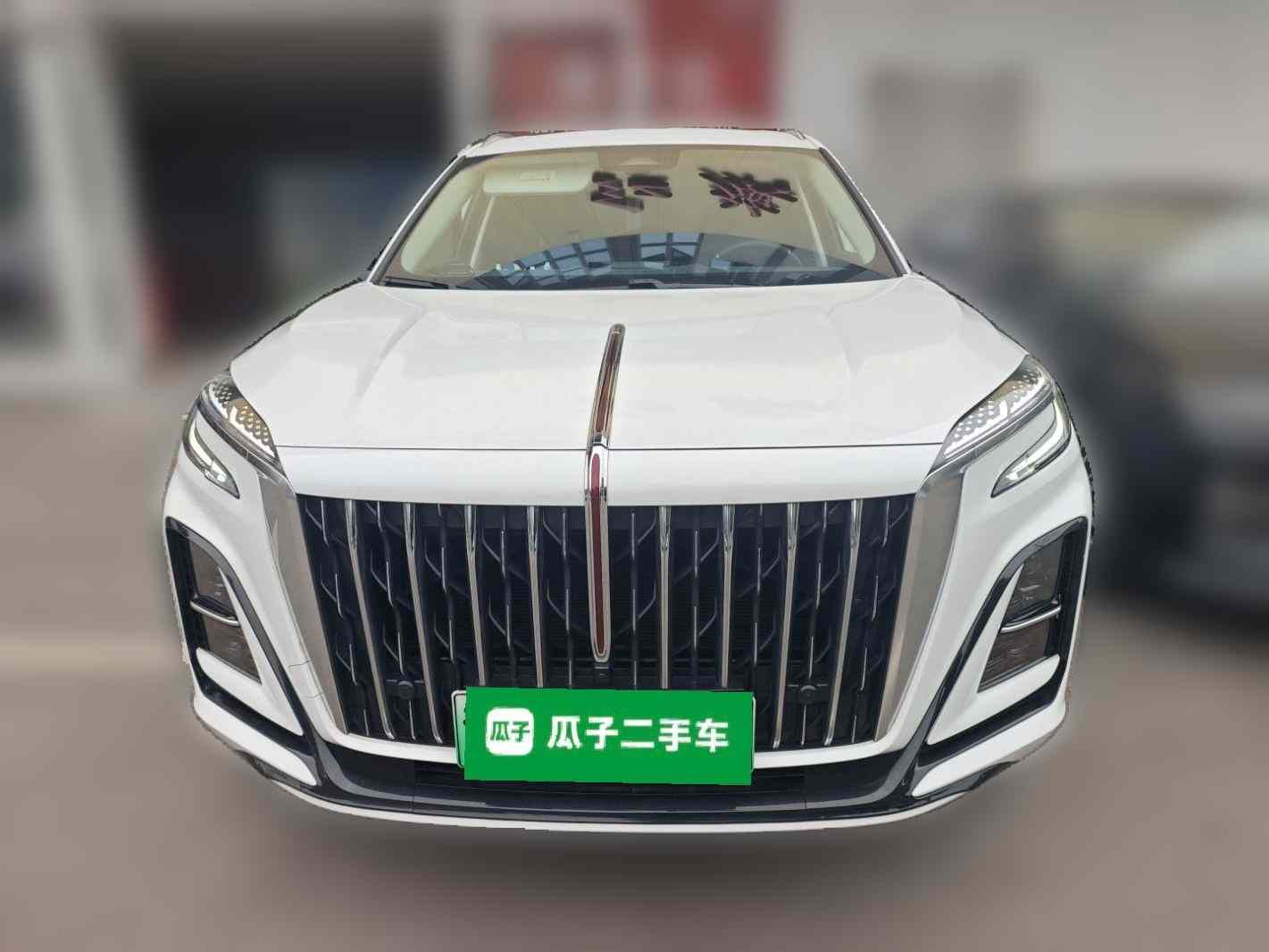 红旗HS3 PHEV 2024款 115km 劲为版(1)