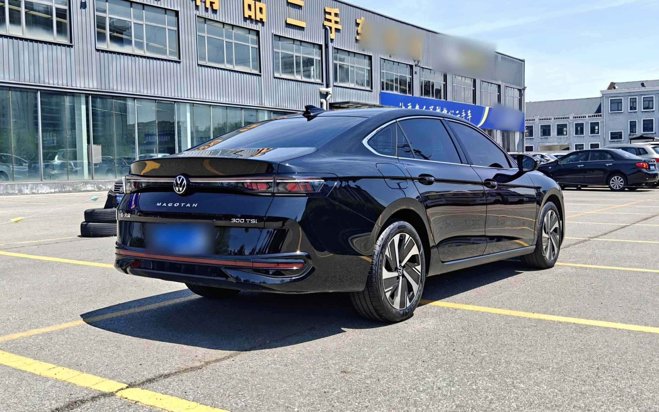 大众 迈腾 2024款  300TSI DSG尊享版显眼包(5)