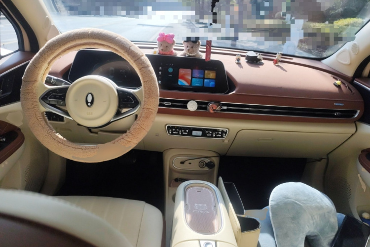 欧拉好猫 2023款 401km标准续航 豪华型 磷酸铁锂中控内饰12