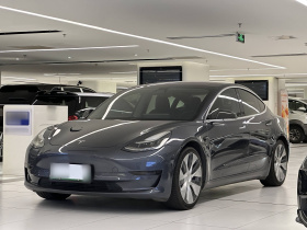 特斯拉 Model 3(进口) 2019款 Performance高性能全轮驱动版