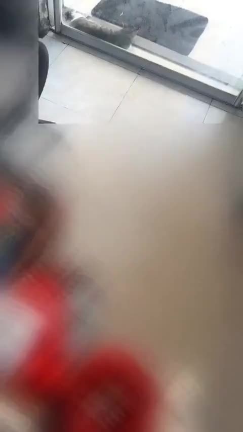 大众 Polo 2016款 1.4L 自动风尚型讲解2