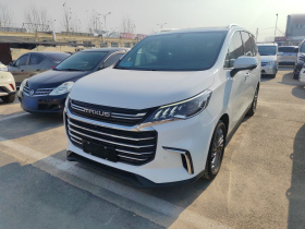 上汽大通MAXUS 大通G50 2019款 1.5T 首发款自动豪华版 6座