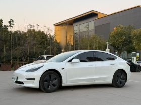 特斯拉 Model 3(进口) 2019款 长续航后驱版