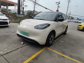 五菱汽车 五菱缤果 2025款 333km 灵犀尊享款