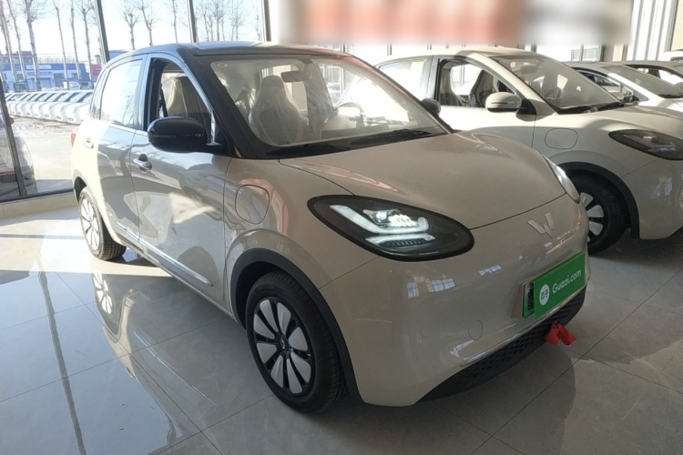 五菱汽车 五菱缤果 2024款 333km 悦享款车身外观6002