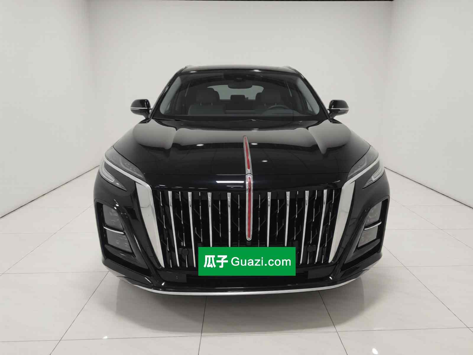 红旗HS3 PHEV 2024款 115km 劲为版(1)