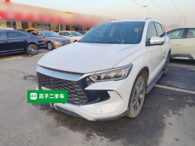 比亚迪 宋Pro新能源 2023款 冠军版 DM-i 71KM超越型