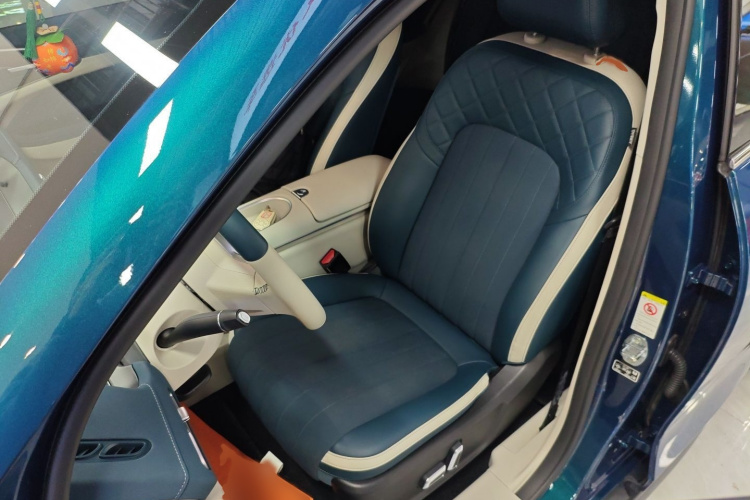 欧拉好猫 2023款 401km标准续航 舒享型 磷酸铁锂局部细节19