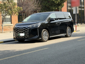 比亚迪 夏 2025款 DM-i 1.5T 180km 超越型