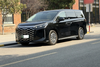 比亚迪 夏 2025款 DM-i 1.5T 180km 超越型