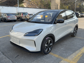 五菱汽车 五菱缤果PLUS 2024款 330km 五座版