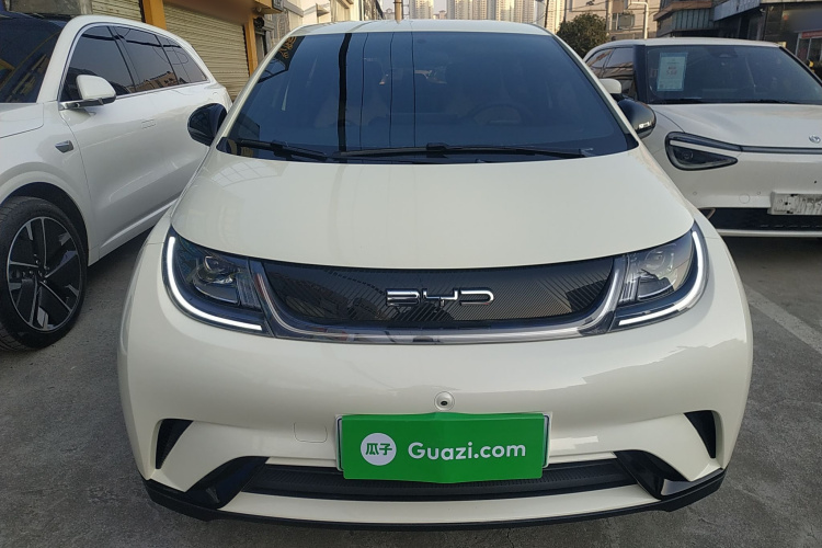 比亚迪 海豚 2023款 420km 自由版车身外观2