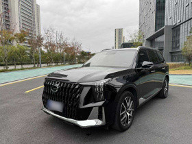 广汽传祺 传祺GS8 2022款 双擎系列 2.0TM 四驱尊贵版 （七座）