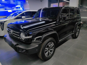 坦克300 2024款 2.0T 穿越者