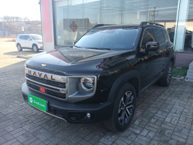 哈弗大狗 2024款 1.5T DCT边牧版