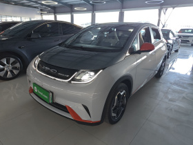 比亚迪 海豚 2021款 405km 时尚版