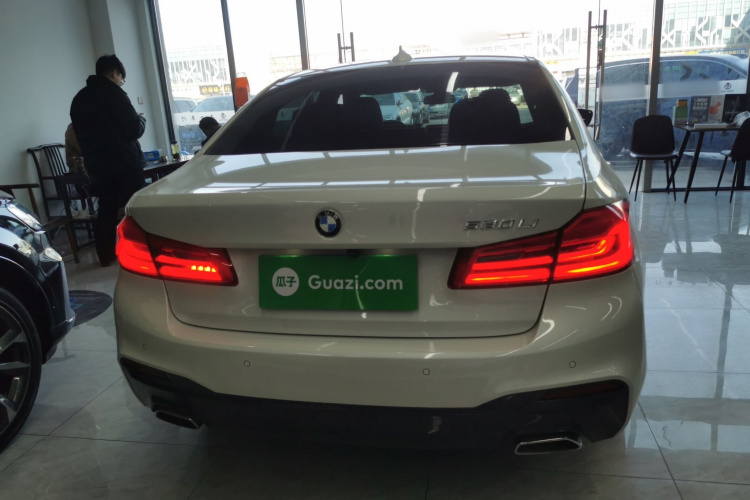 宝马5系 2020款 530Li 领先型 M运动套装车身外观6