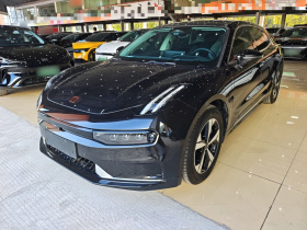 极氪001 2022款 长续航双电机 WE版