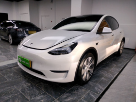 特斯拉 Model Y 2022款 改款 长续航全轮驱动版
